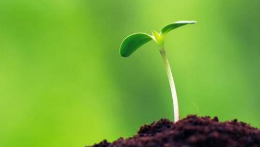 心理健康對(duì)人的重要性?