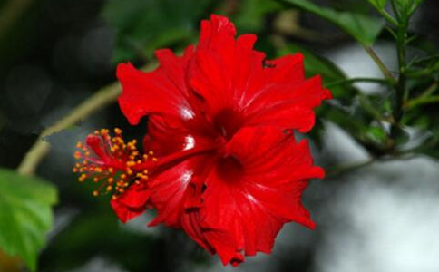 扶?；? />
</p>
<p style=